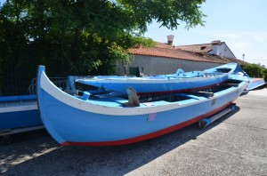 DSC 8983