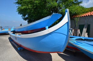 DSC 8987