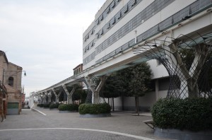 DSC 9535