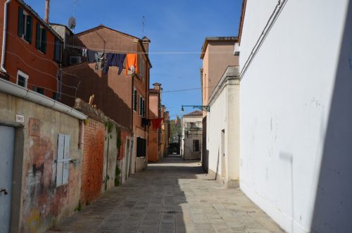 DSC 2833