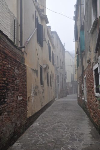 DSC 0100