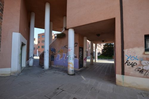 DSC 2499