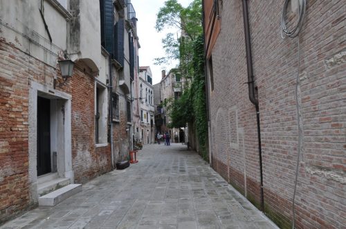 DSC 0554