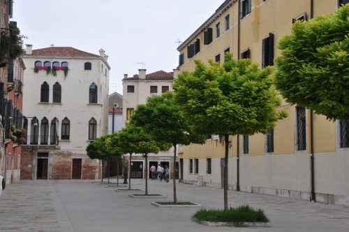 DSC 0166