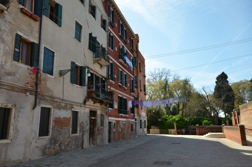 DSC 2836