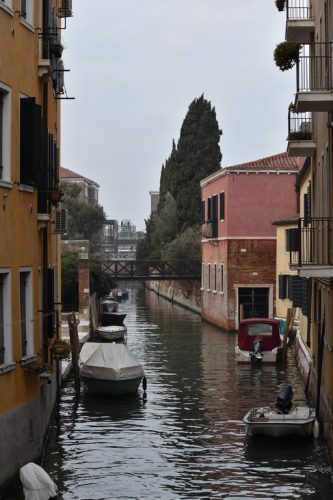 DSC 0249