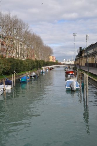 DSC 0611