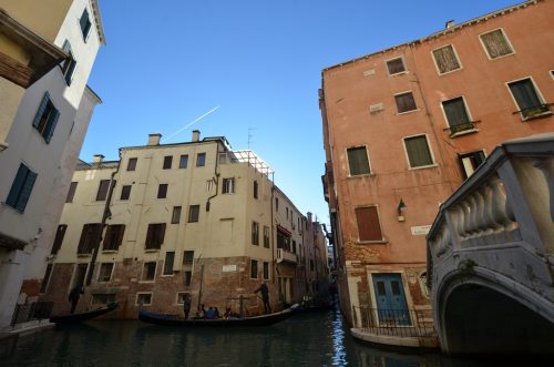 DSC 9878