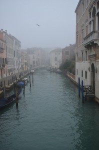 DSC 1169
