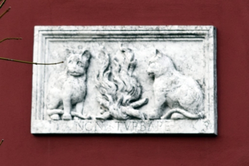 DSC 0957m2