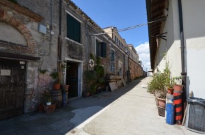 DSC 8484
