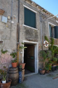 DSC 8485