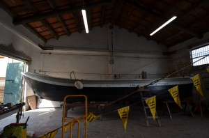 DSC 8318