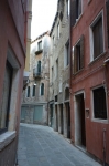 DSC 7233