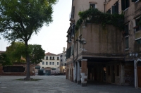DSC 8306