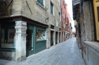 DSC 7236