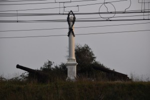 DSC 0031
