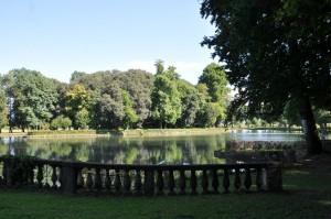 DSC 0356