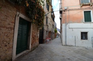 DSC 7956