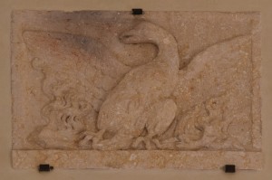 DSC 0824m